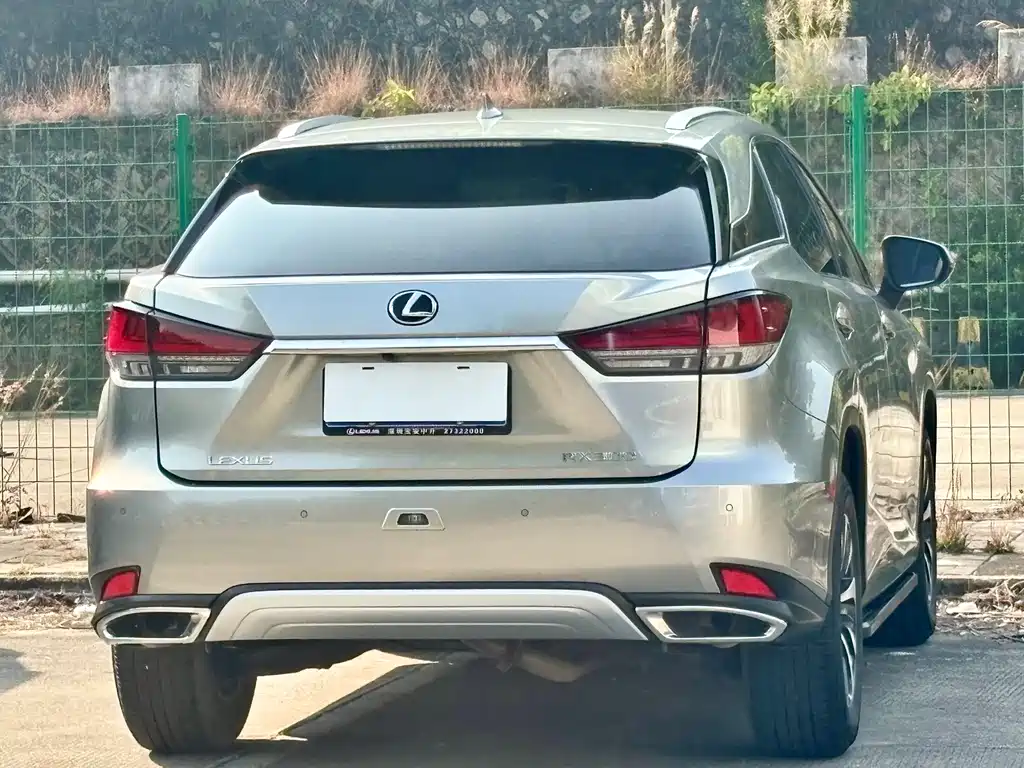 Lexus RX 2022 — фото 19