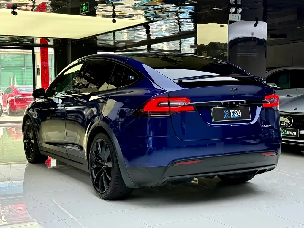 Tesla Model X 2019 — фото 16