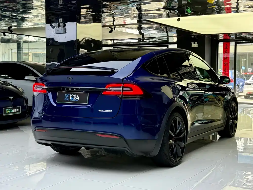 Tesla Model X 2019 — фото 14