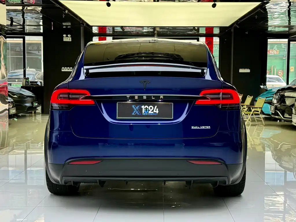 Tesla Model X 2019 — фото 15