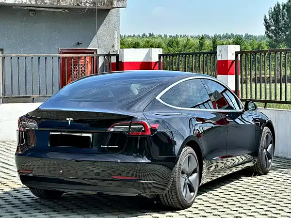 Tesla Model 3 2019