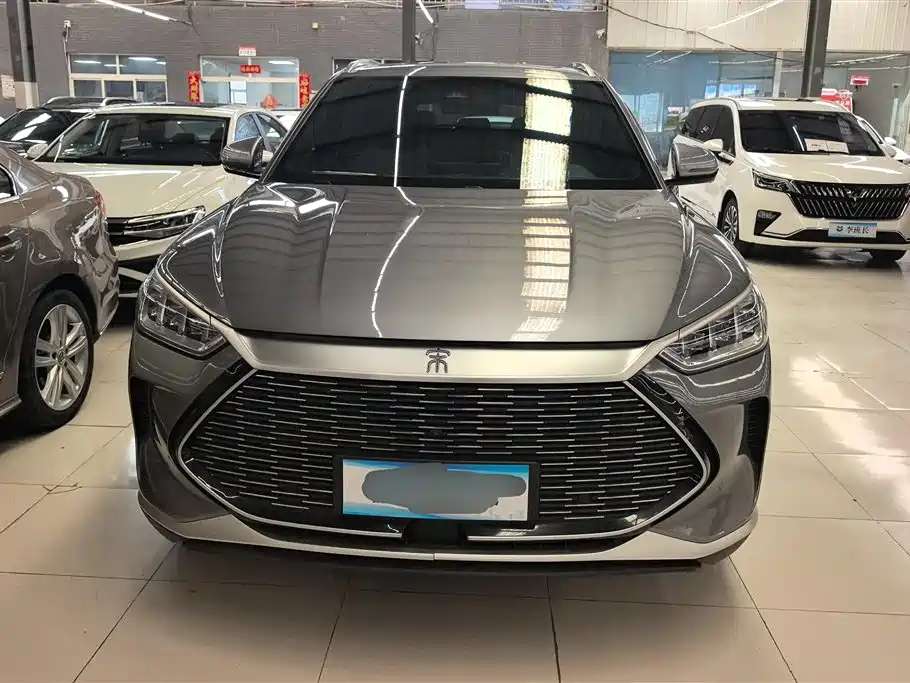 BYD PLUS New Energy 2023 — фото 2