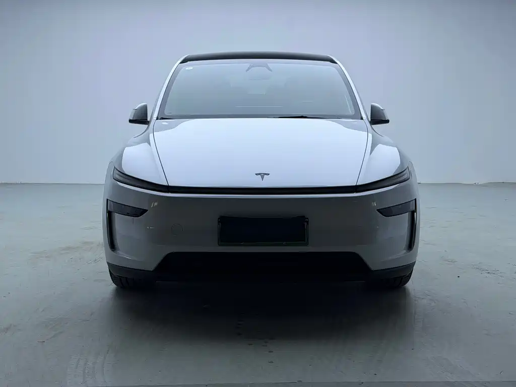 Tesla Model Y 2025 — фото 2