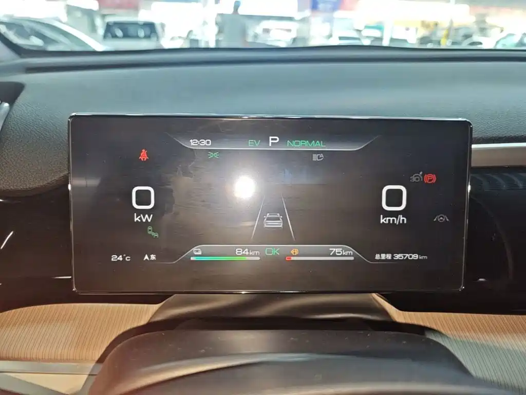 BYD Pro New Energy 2024 — фото 12