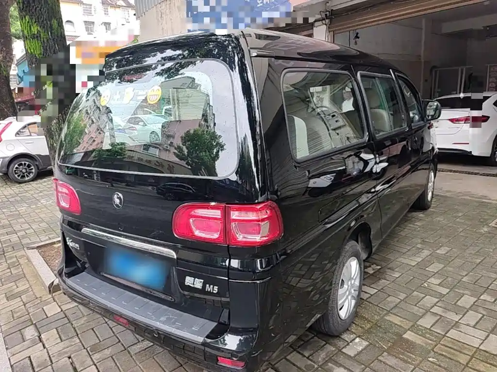 Dongfeng Lingzhi 2024