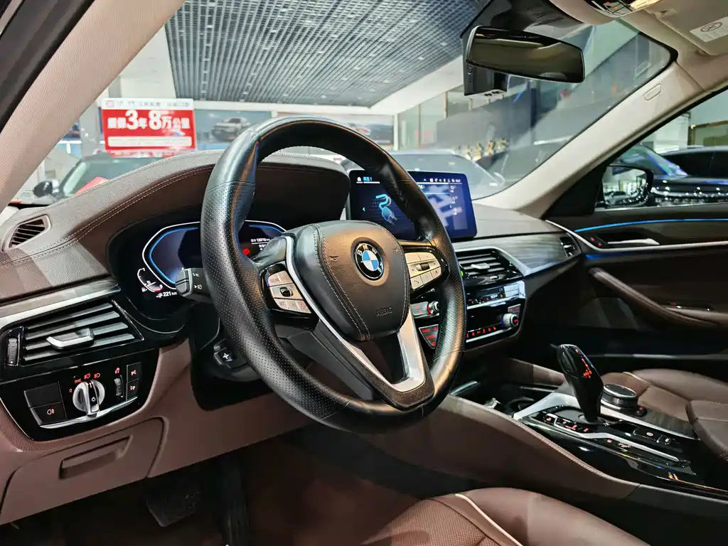 BMW 5 Series New Energy 2021