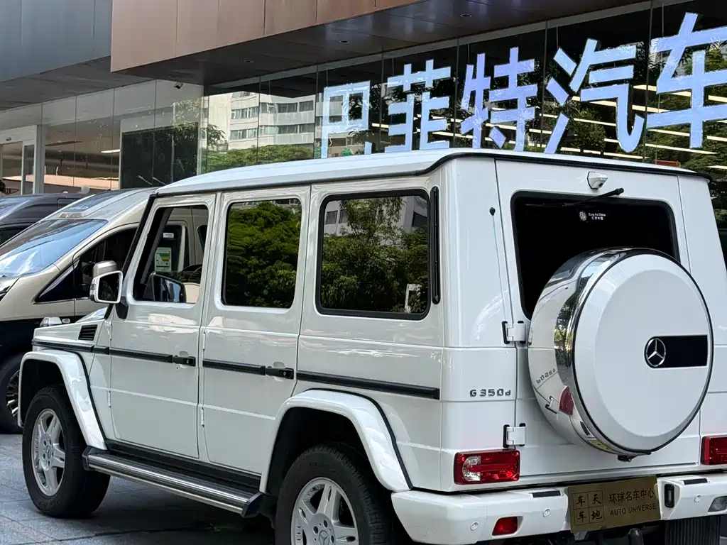 Mercedes-Benz G-Class 2018 — фото 17