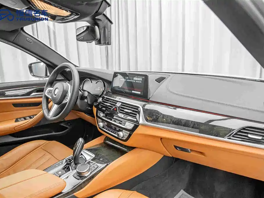 BMW 5 Series 2019 — фото 14