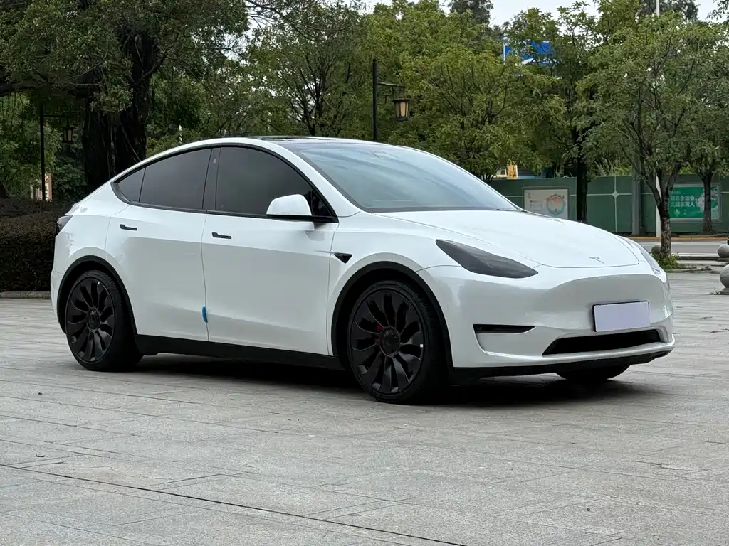 Tesla Model Y 2023 — фото 3