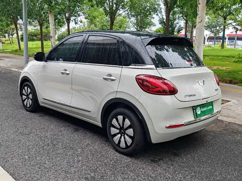 Wuling Bingo 2024