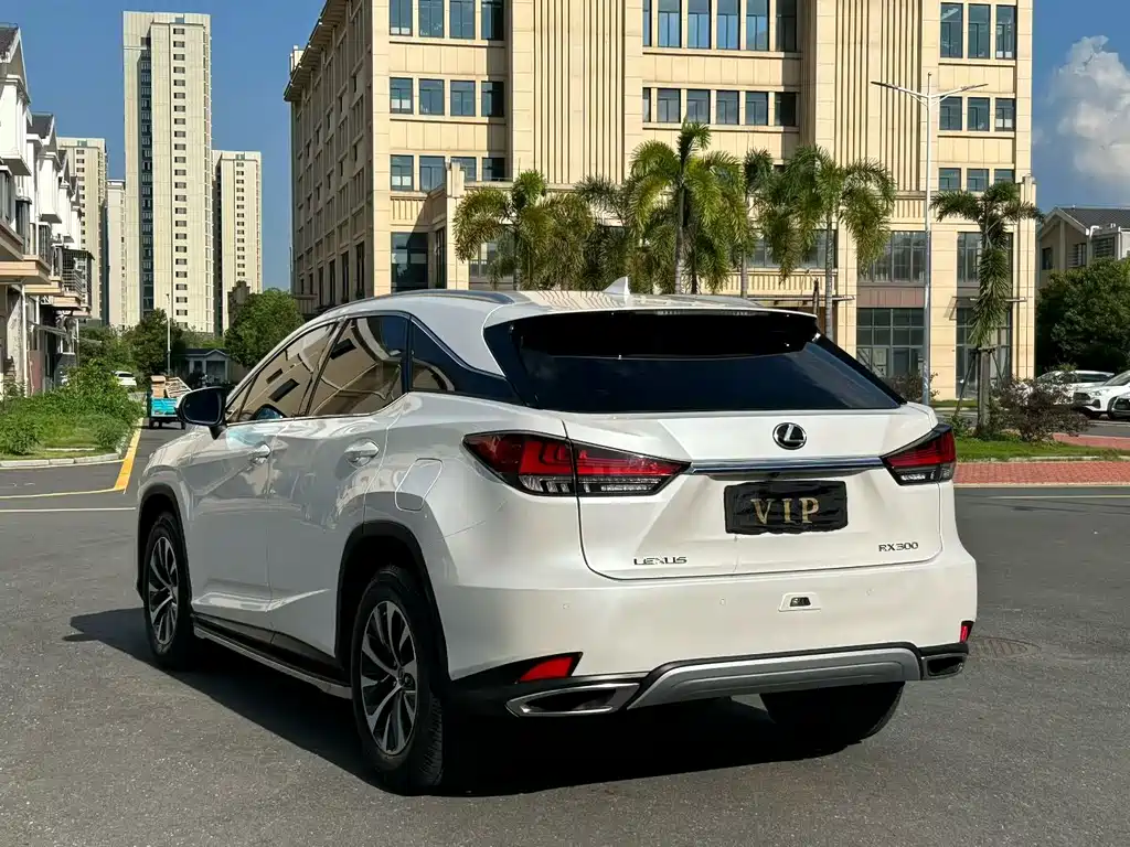 Lexus RX 2020 — фото 6