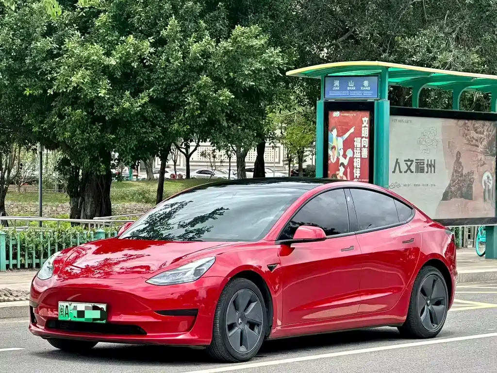 Tesla Model 3 2021 — фото 1