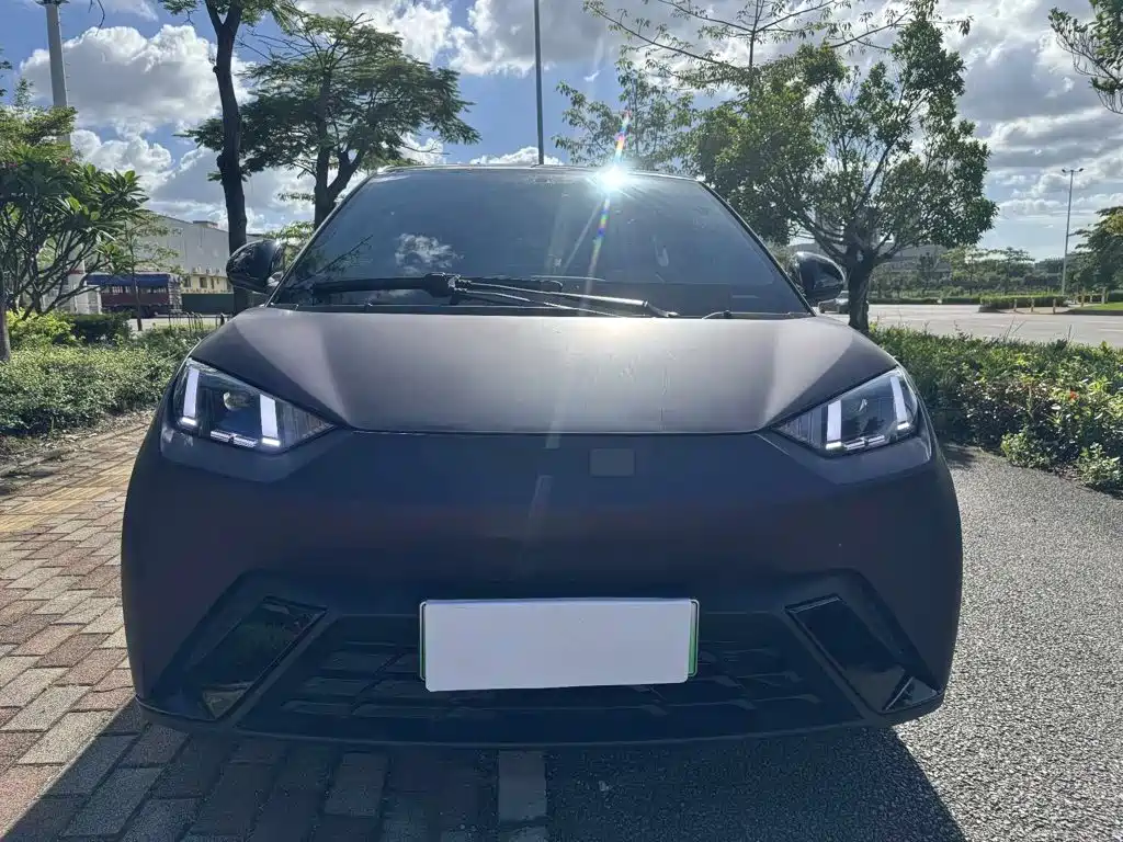 BYD Seagull 2024