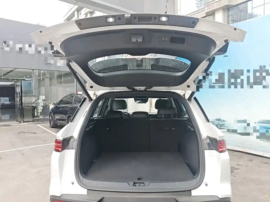 BYD Song Pro New Energy 2025 — фото 19