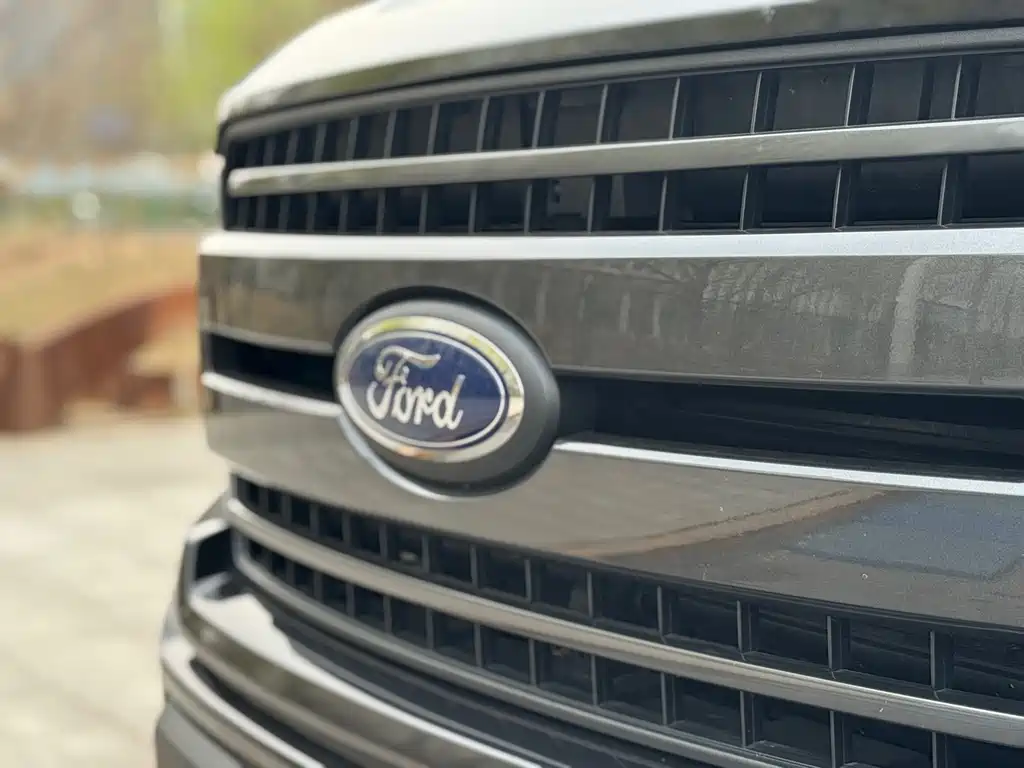 Ford F-150 Raptor 2020 — фото 24