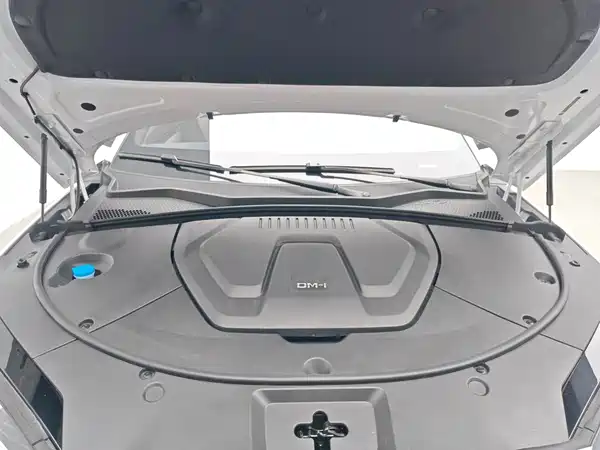BYD Song PLUS New Energy 2024