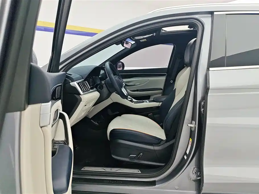 BYD PLUS New Energy 2023 — фото 9
