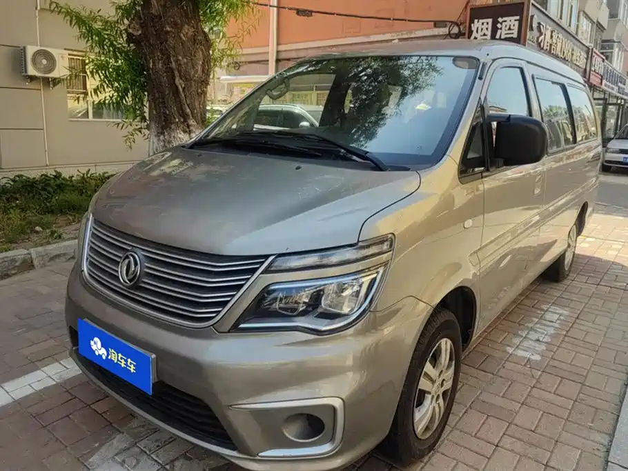 Fengxing Lingzhi 2020