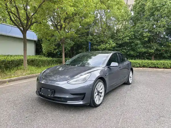 Tesla Model 3 2021