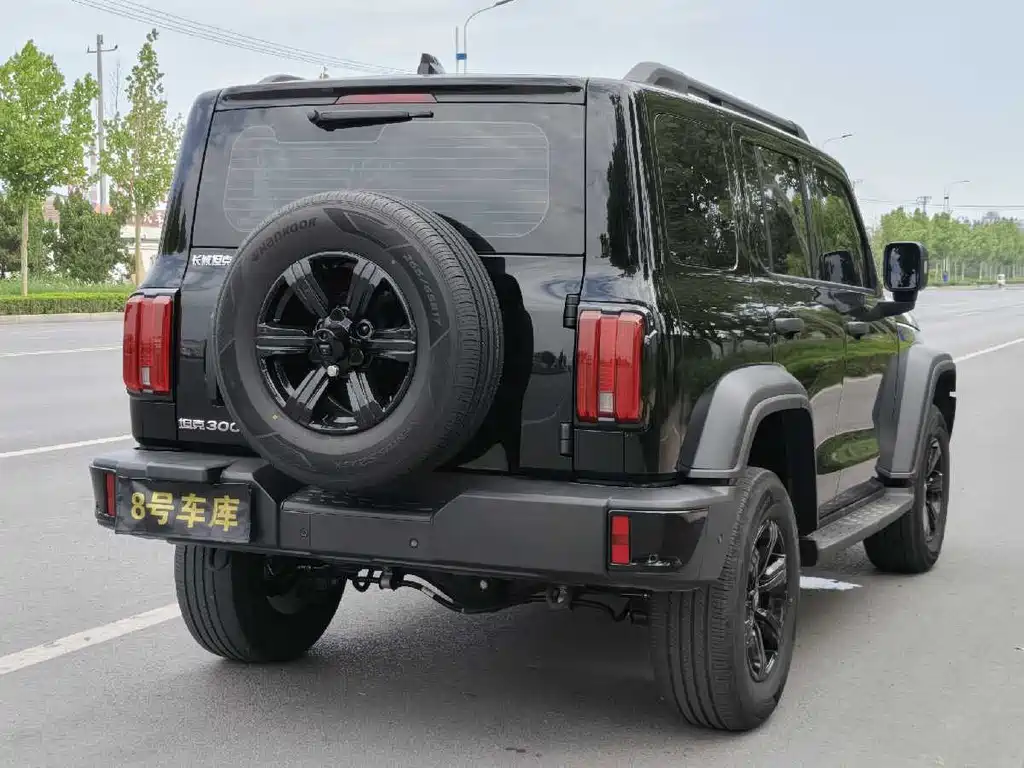 Tank 300 2025 — фото 5