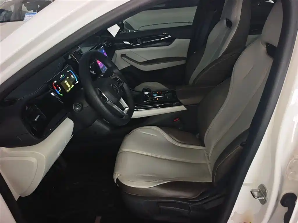 BYD Qin PLUS 2023 — фото 15