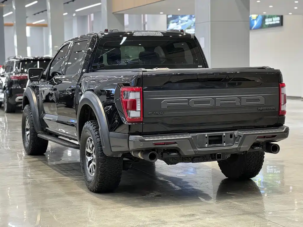 Ford F-150 Raptor 2023 — фото 6