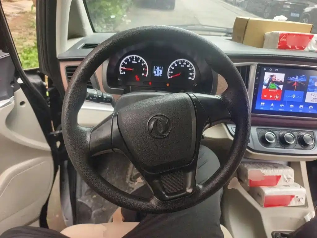 Fengxing Lingzhi 2021