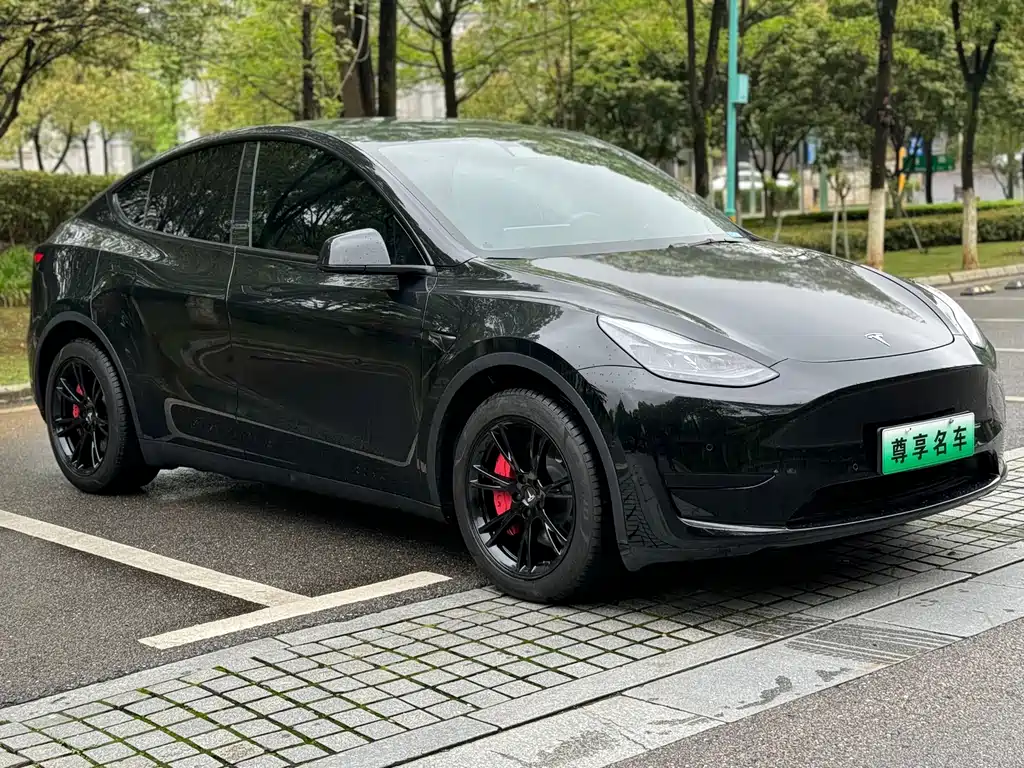 Tesla Model Y 2023 — фото 3