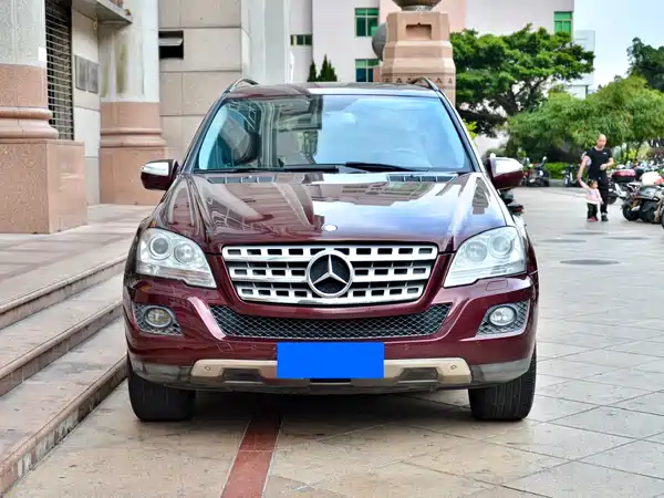 Mercedes-Benz M-Class 2010