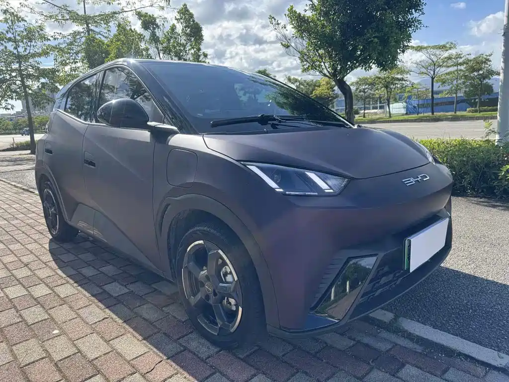 BYD Seagull 2024