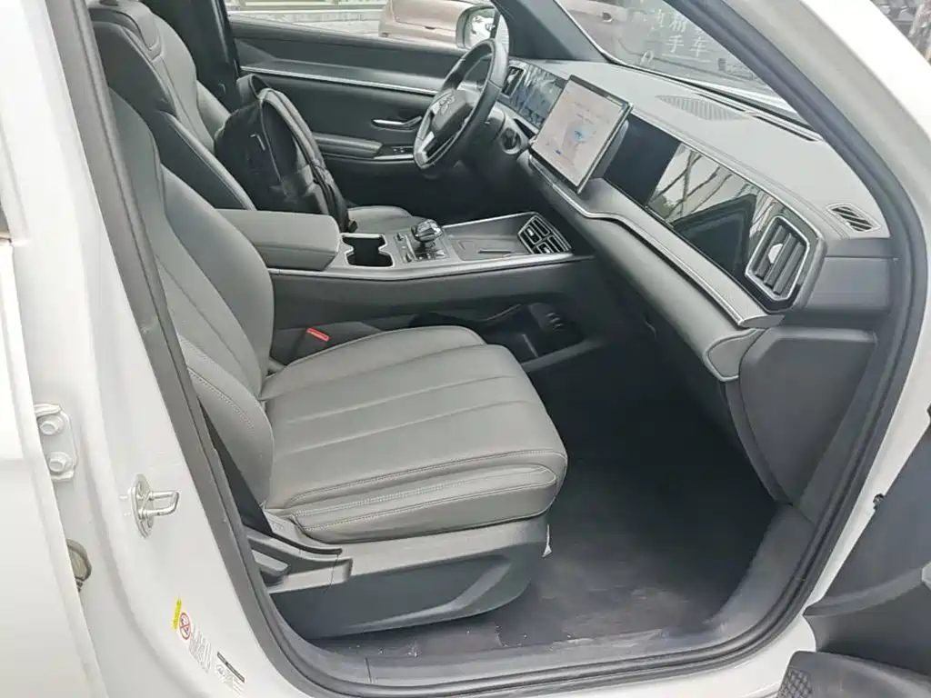 BYD Song Pro New Energy 2025 — фото 25