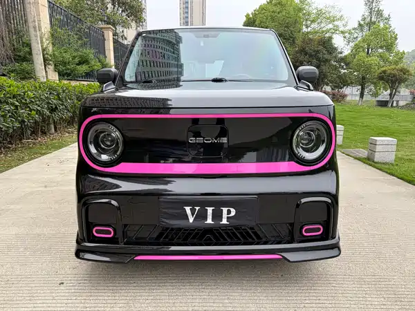 Geely Galaxy Panda 2025