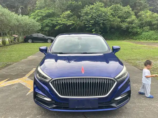 Hongqi H5 2019