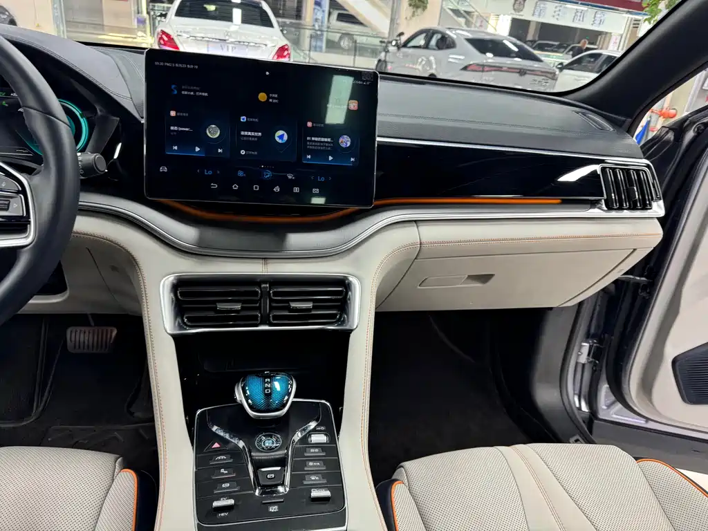 BYD PLUS New Energy 2023 — фото 14
