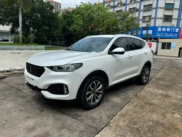 Wey VV6 2020