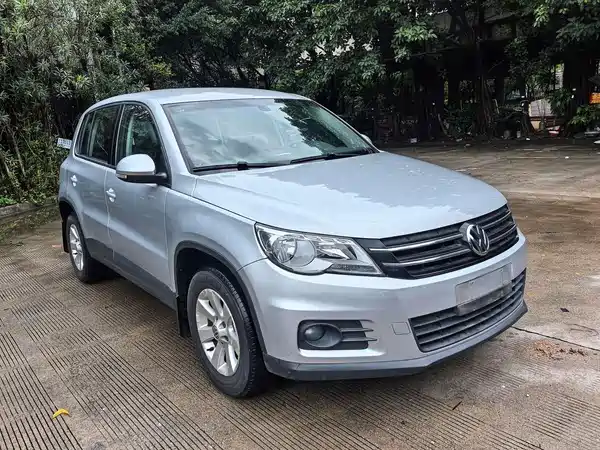 Volkswagen Tiguan 2010