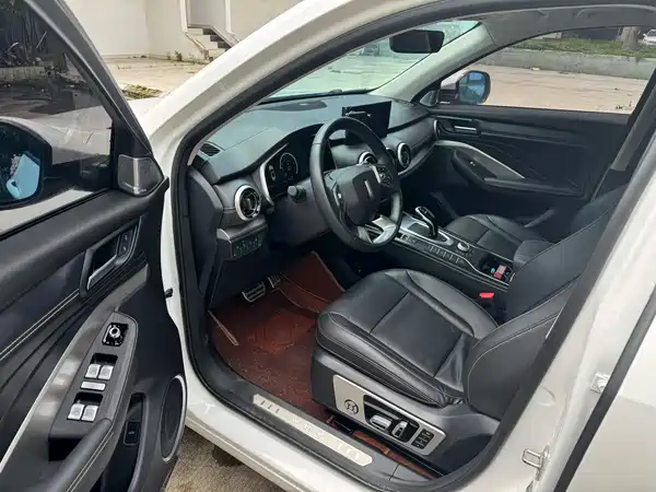 Wey VV6 2020