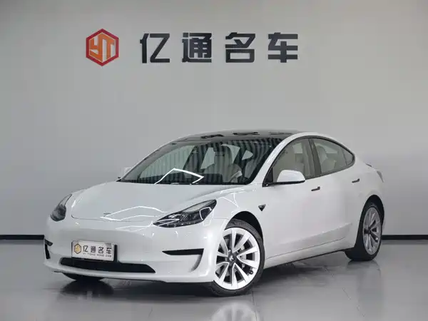 Tesla Model 3 2021