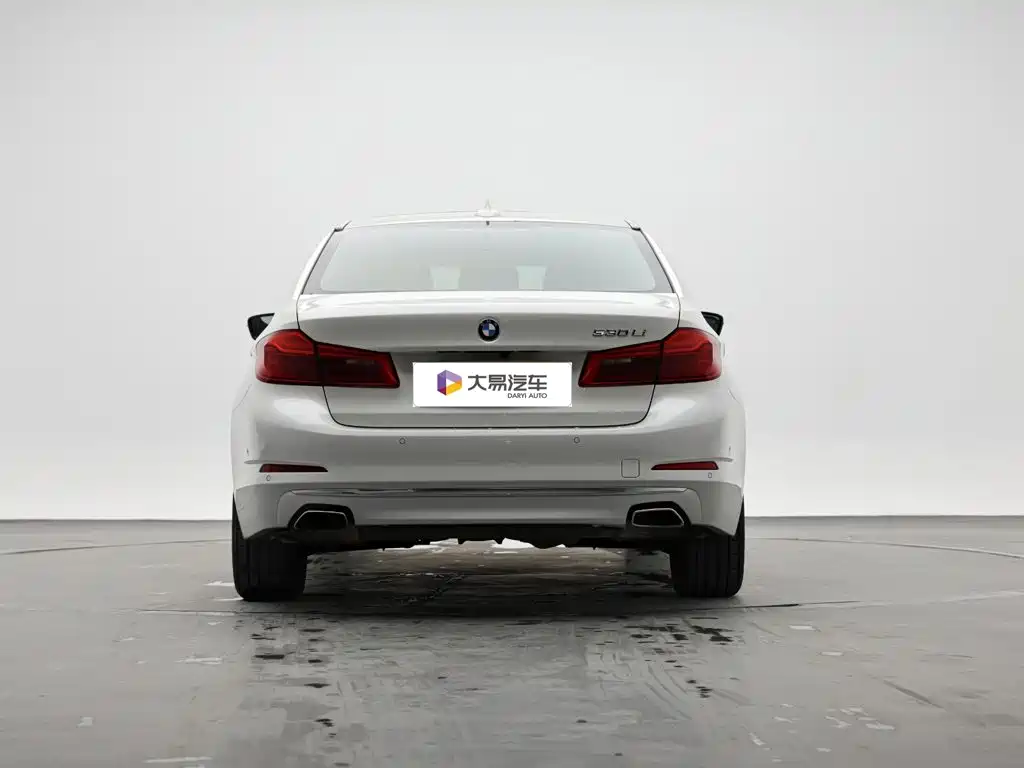 BMW 5 Series 2019