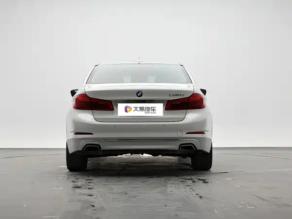 BMW 5 Series 2019