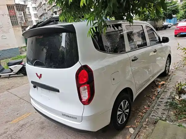 Wuling Hongguang New Energy 2025