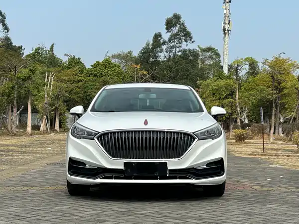 Hongqi H5 2020