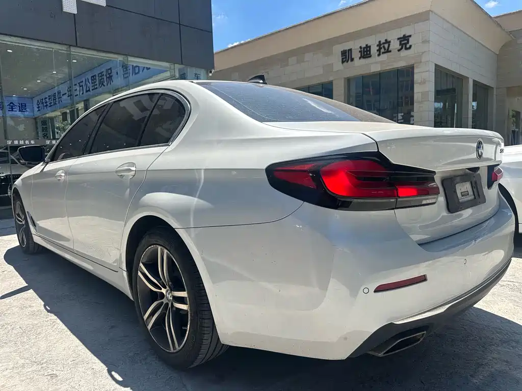 BMW 5 Series 2020 — фото 14