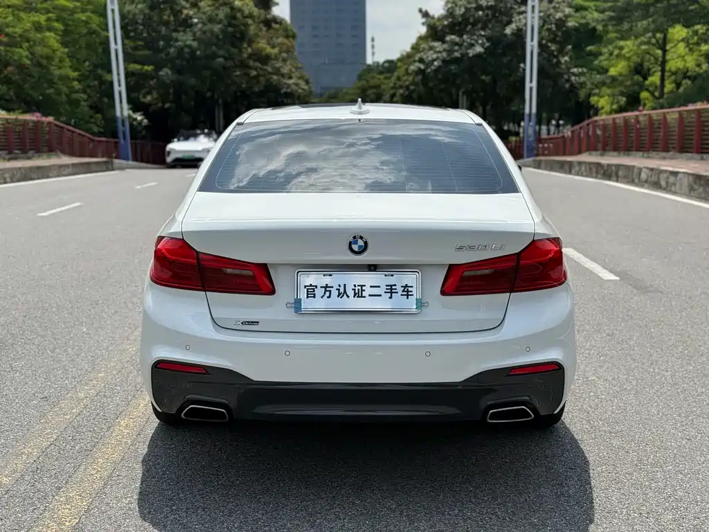 BMW 5 Series 2019 — фото 17