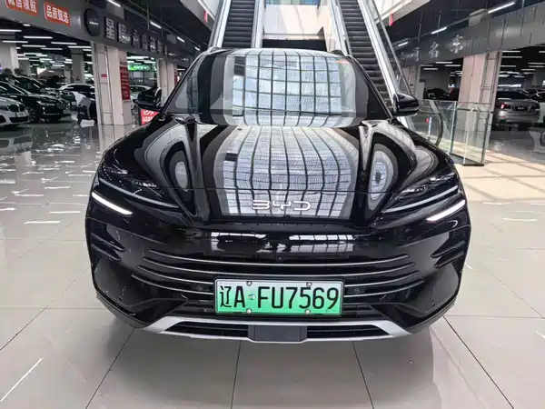 BYD Song PLUS New Energy 2024