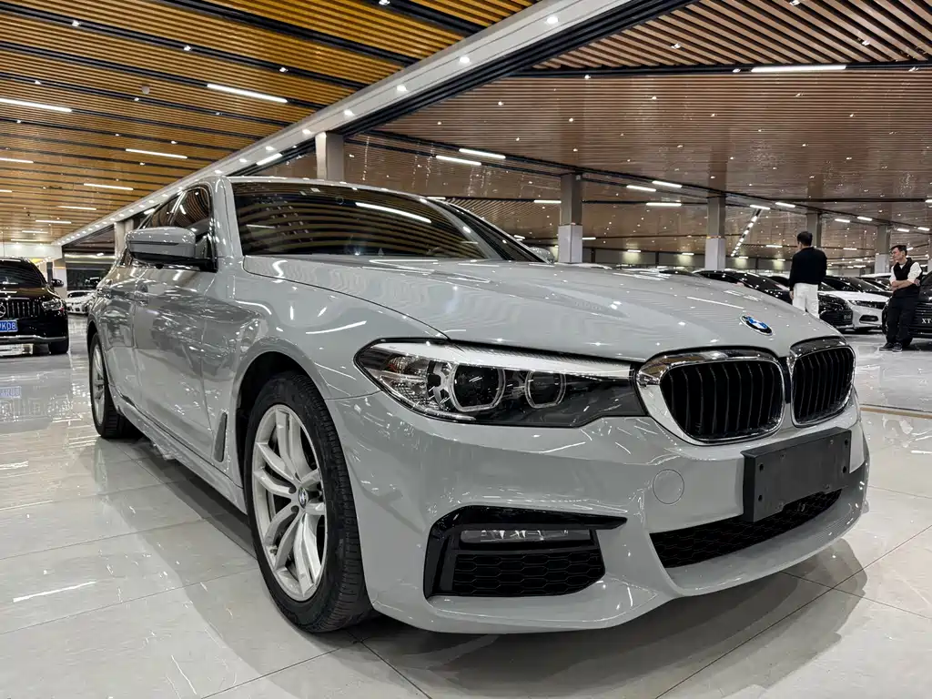 BMW 5 Series 2019 — фото 5