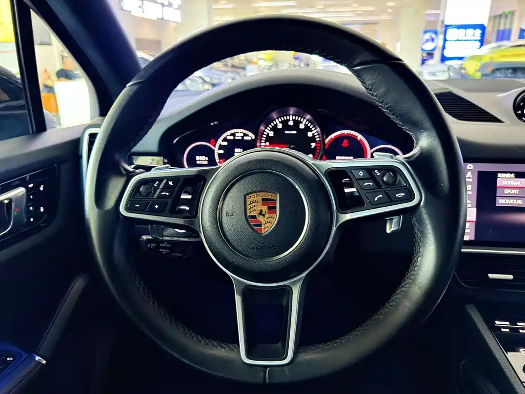 Porsche Cayenne 2019 — фото 13