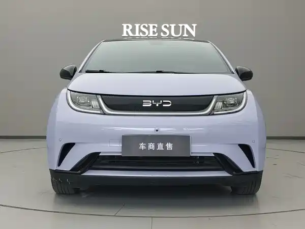 BYD Dolphin 2024
