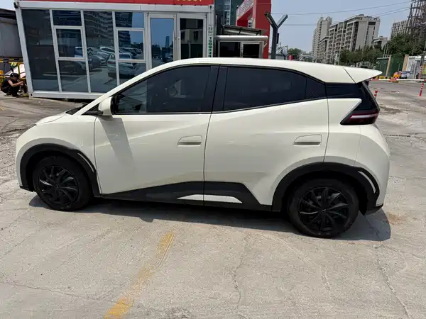 BYD Seagull 2024