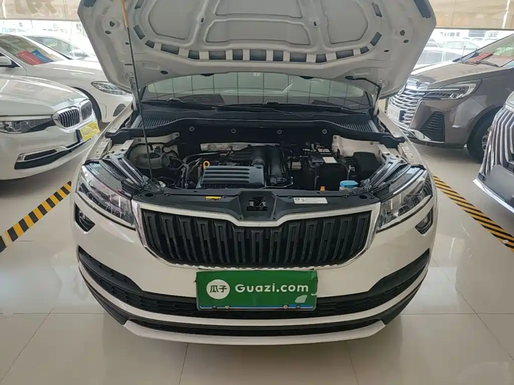 Skoda Karoq 2020 — фото 20